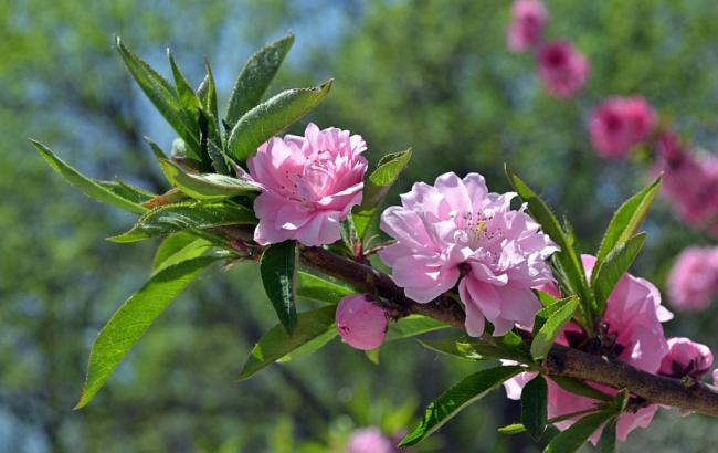 光通传奇3手游(传奇3手游安卓版下载)